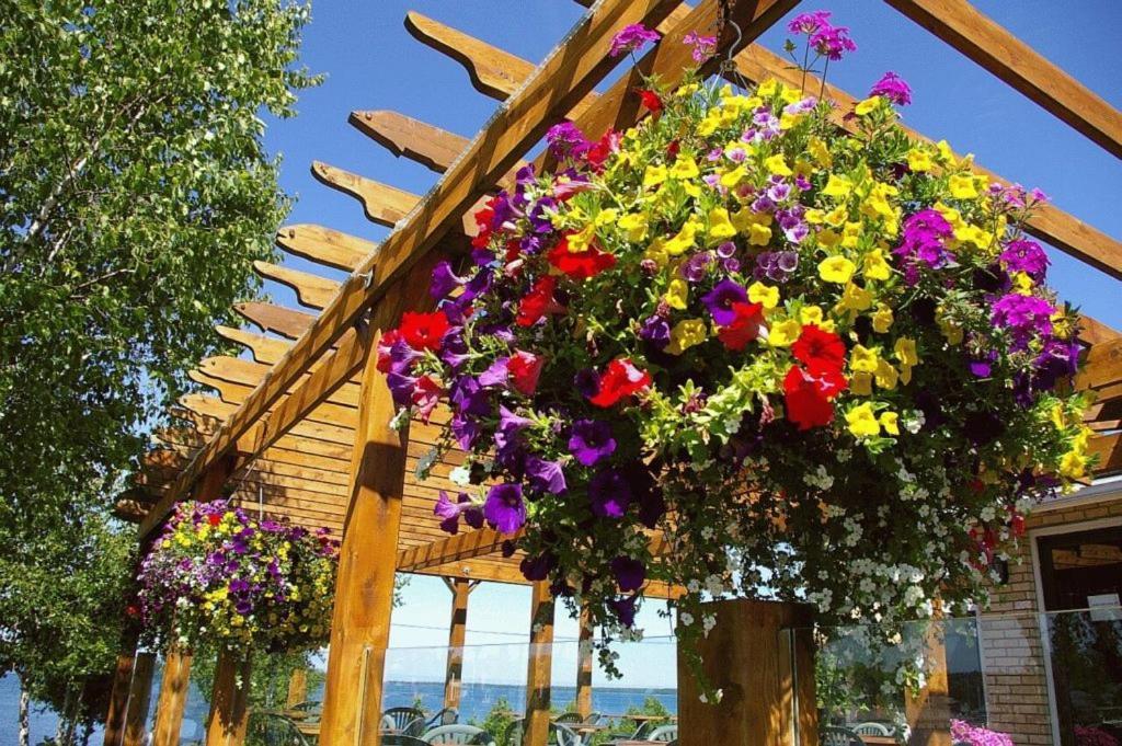 Grandview Motel Tobermory Exterior foto